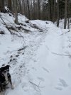 IMG_8397.jpeg