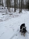 IMG_8395.jpeg