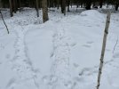 IMG_8394.jpeg