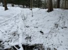 IMG_8398.jpeg