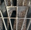 IMG_6125.jpeg