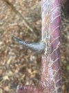 IMG_5437.jpeg