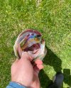 IMG_1403.jpeg