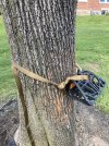 IMG_1357.jpeg