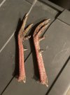 IMG_0531.jpeg