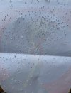 IMG_8498.jpeg