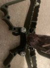 IMG_5710.jpeg
