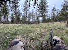 IMG_0693.jpeg