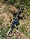 G-Hog #2.jpg