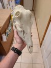 20250504_081853.jpg