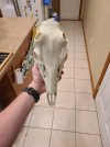 20250504_081902.jpg