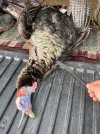 IMG_9150.jpeg