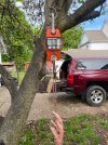 IMG_9153.jpeg