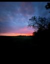 IMG_8666.jpeg