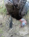 IMG_8653.jpeg