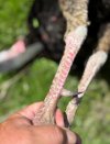 IMG_8658.jpeg