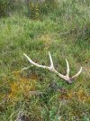 IMG_8572.jpeg