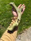IMG_8500.jpeg