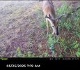 IMG_3961.jpeg