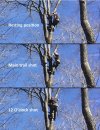preset private stand .jpg