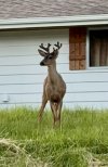 IMG_8626.jpeg