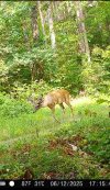 IMG_4007.jpeg