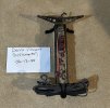 IMG_6429.jpeg