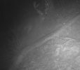 IMG_1358.jpeg