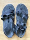 IMG_2077.jpeg