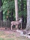 IMG_1395.jpeg