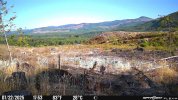 IMG_8765.jpeg