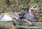 Buck 1 10-21-22.jpg