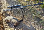 G-Hog #8.jpg