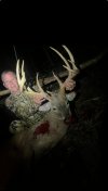 IMG_3677.jpeg