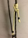 IMG_0642.jpeg