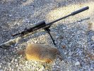 2025 G-Hog #10.jpg