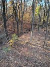 IMG_20251104_152541356_HDR.jpg