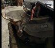 IMG_0511.jpeg