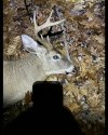 IMG_0512.jpeg