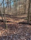 trail jan 19 2026.jpg