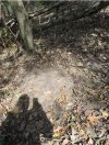 IMG_0440.jpeg