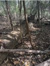 IMG_0442.jpeg