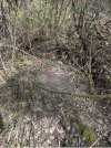 IMG_0439.jpeg