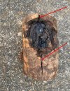 Single bevel torque splitting wood.jpg
