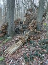 IMG_3540.jpeg