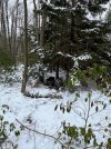 IMG_4402.jpeg