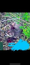 IMG_3057.jpeg