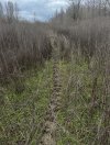 IMG_1214.jpeg