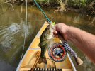 canoe bass 2.jpg