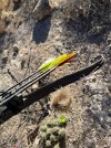 IMG_0707.jpeg
